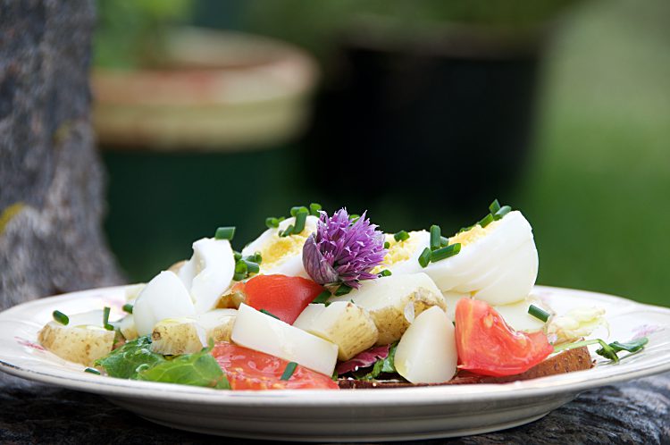 Enkel sommarmacka med grovt bröd, sallad, tomat, nypotatis, ägg och majonäs