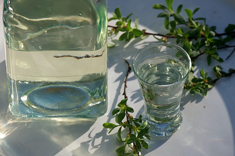 Brännvin kryddad med pors till midsommar, jul och påsk