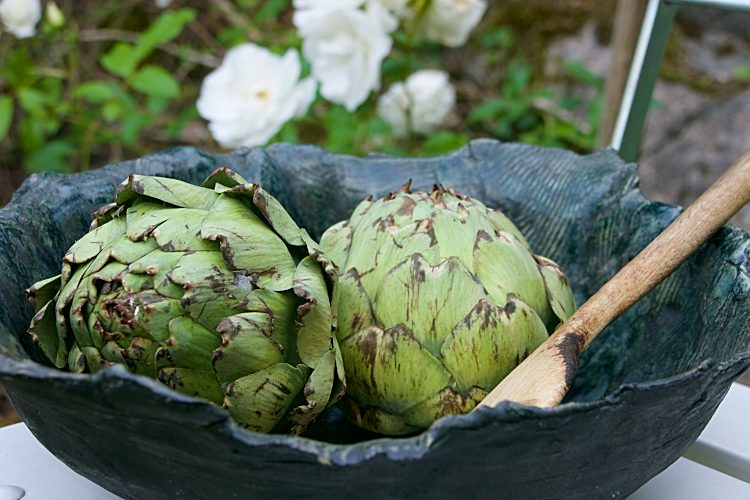 Färska kronärtskockor med saltat smör