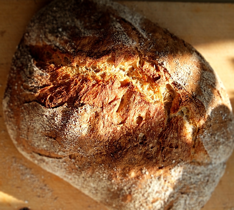 Bröd med frukt och valnötter