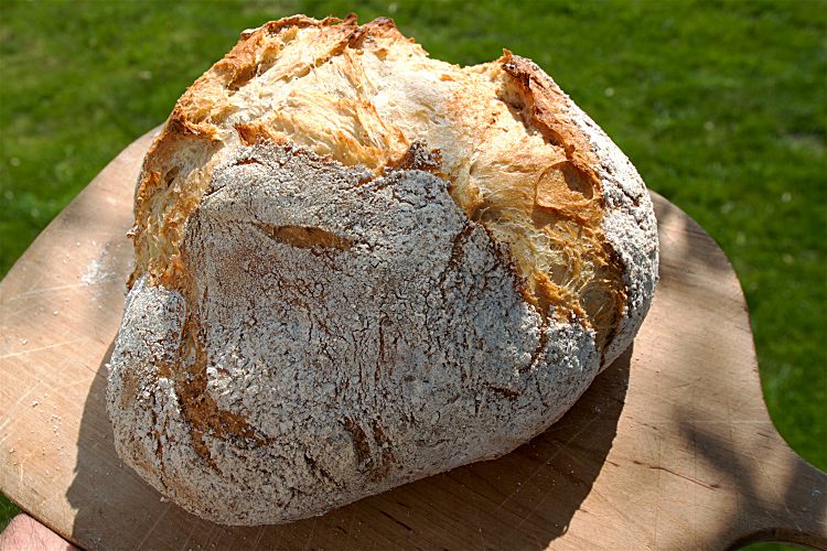 Surdegsbröd med dinkel