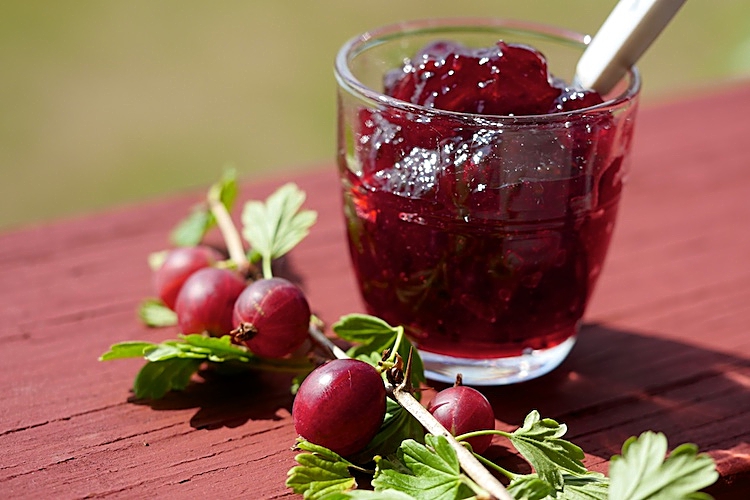 Röd krusbärsmarmelad