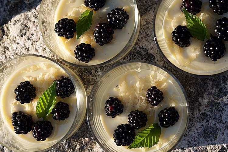 Pannacotta med björnbär och mandelsmak