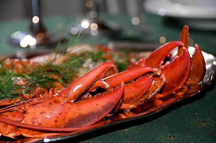 Hummer med hemmagjord majonäs och champagne