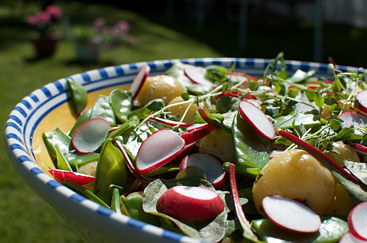 Kall marinerad färskpotatis-sallad