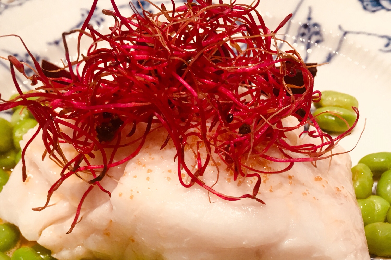 Torskrygg, rödbetsskott och brynt smör